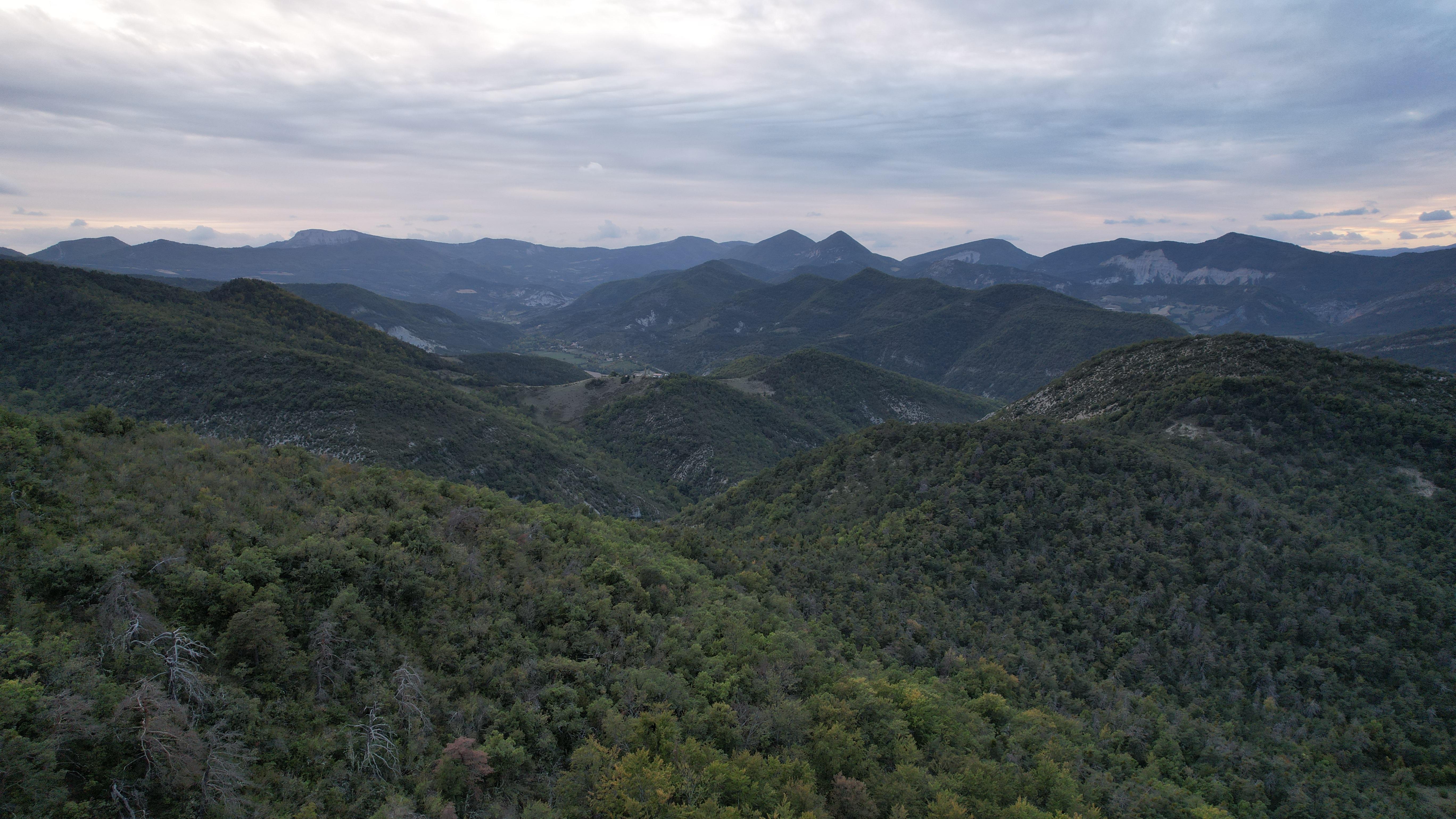 Massif forestier en Hautes-Alpes